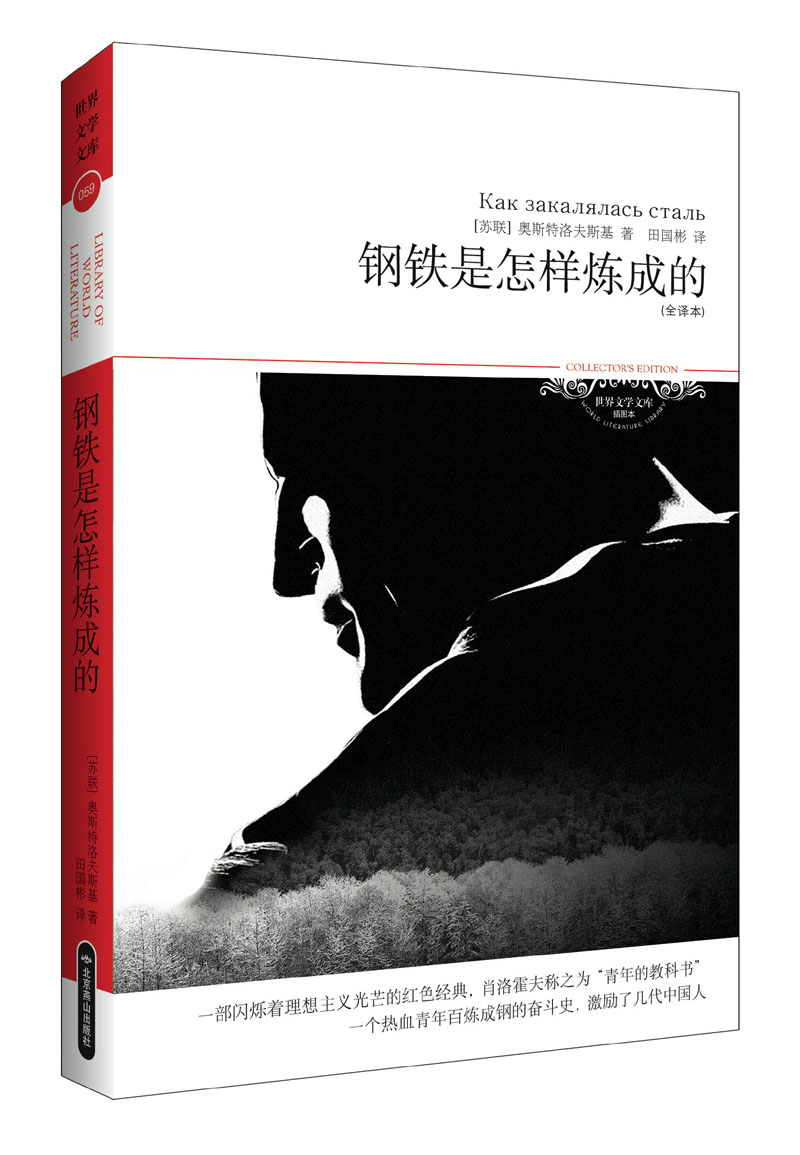 世界文学文库059：钢铁是怎样炼成的（插图全译本）