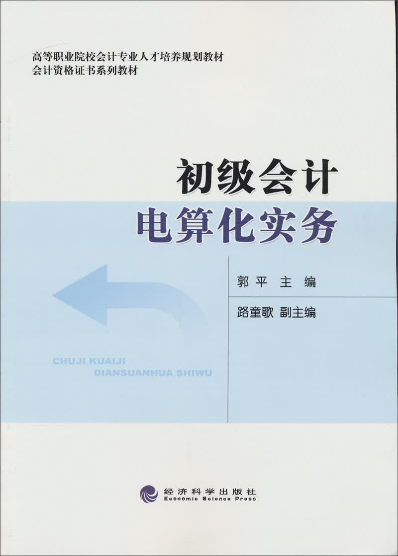 初级会计电算化实务