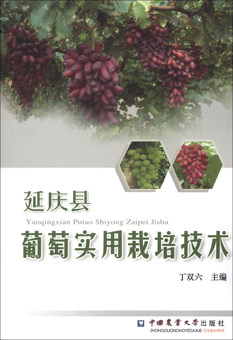 延庆县葡萄实用栽培技术