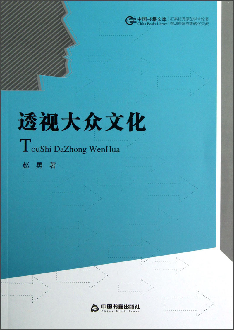 透视大众文化