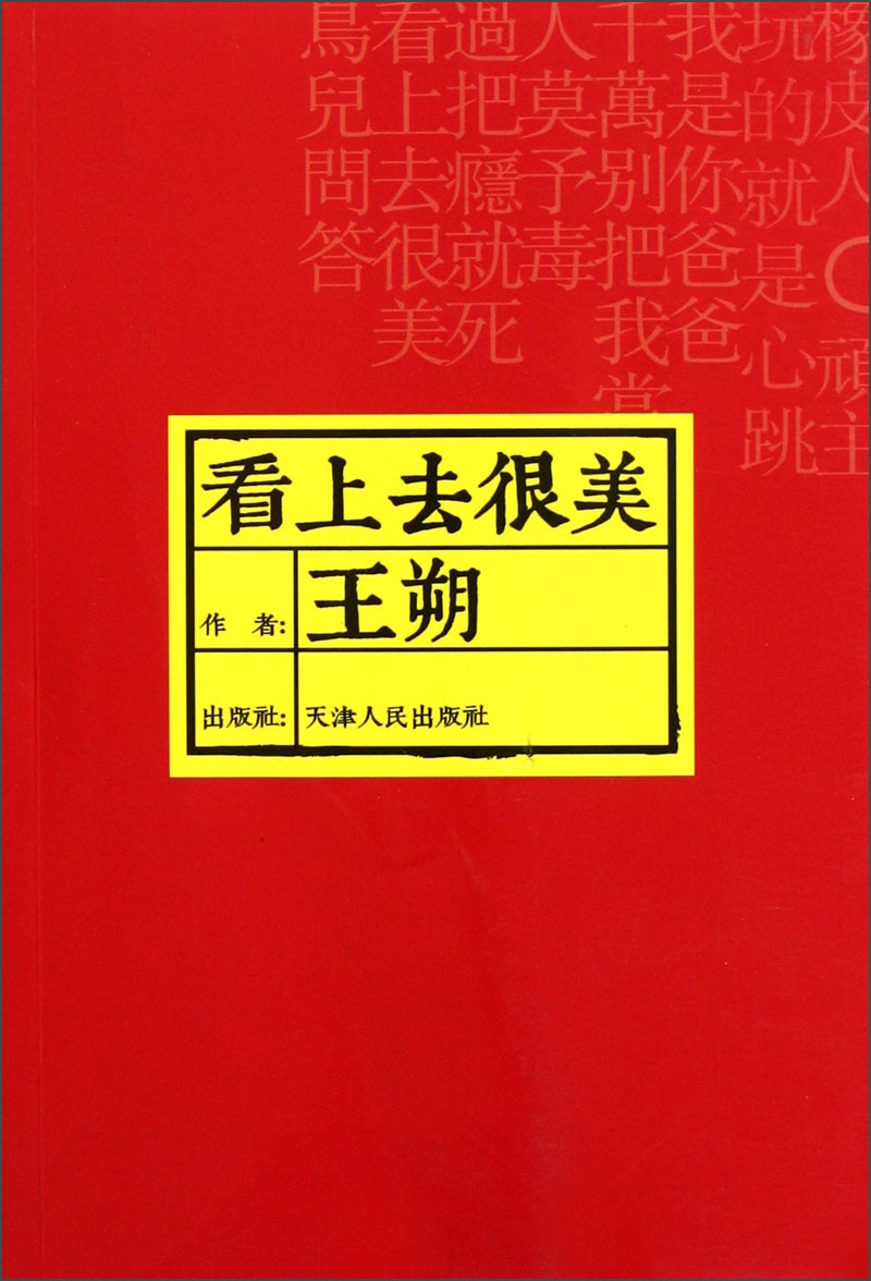 【正版】看上去很美
