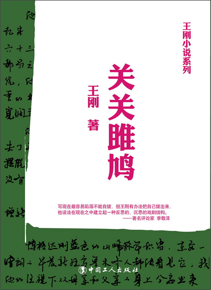 王刚小说系列：关关雎鸠