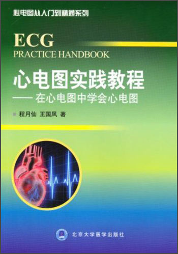 心电力从入门到精通系列·心电图实践教程: