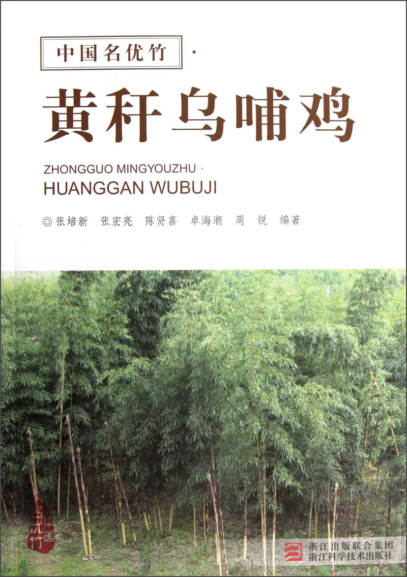 中国名优竹：黄秆乌哺鸡