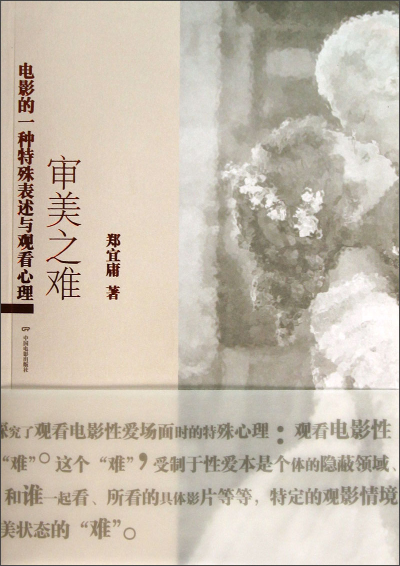 审美之难：电影的一种特殊表述与观看心理