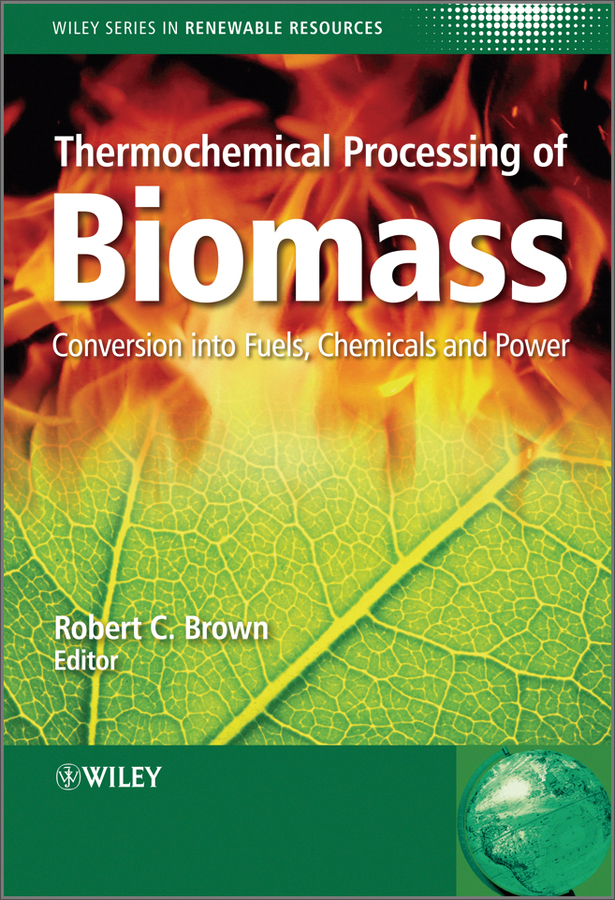 thermochemical processing of biomass conversion into fuels