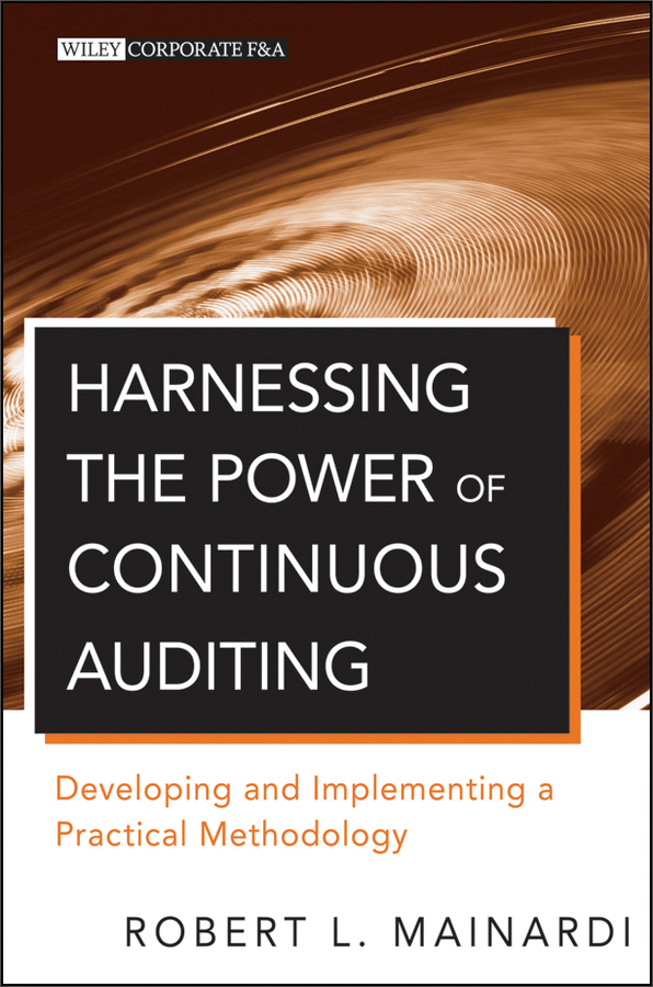 harnessing the power of continuous auditing: developing and