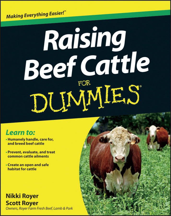 raising beef cattle for dummies
