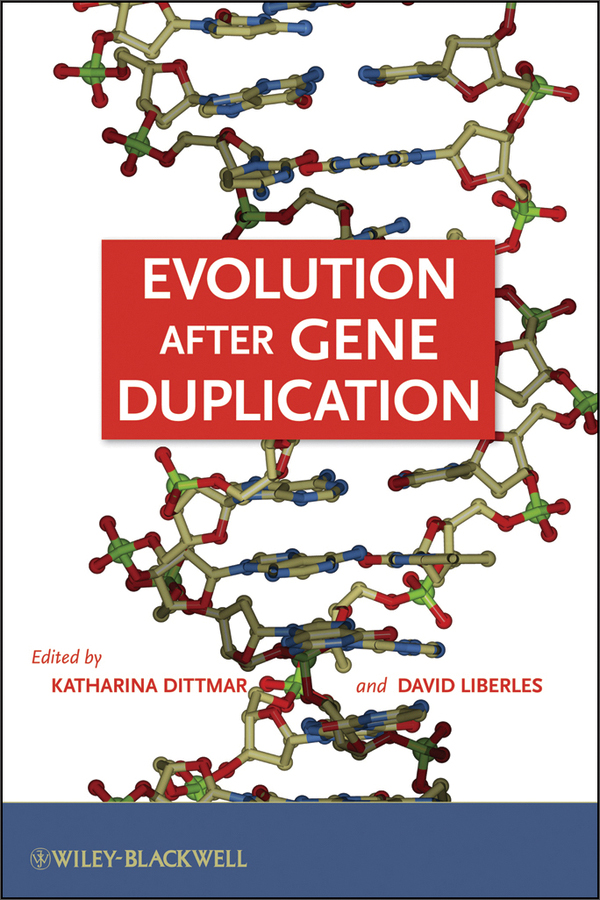 evolution after gene duplication