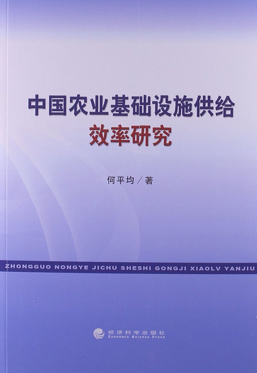 中国农业基础设施供给效率研究