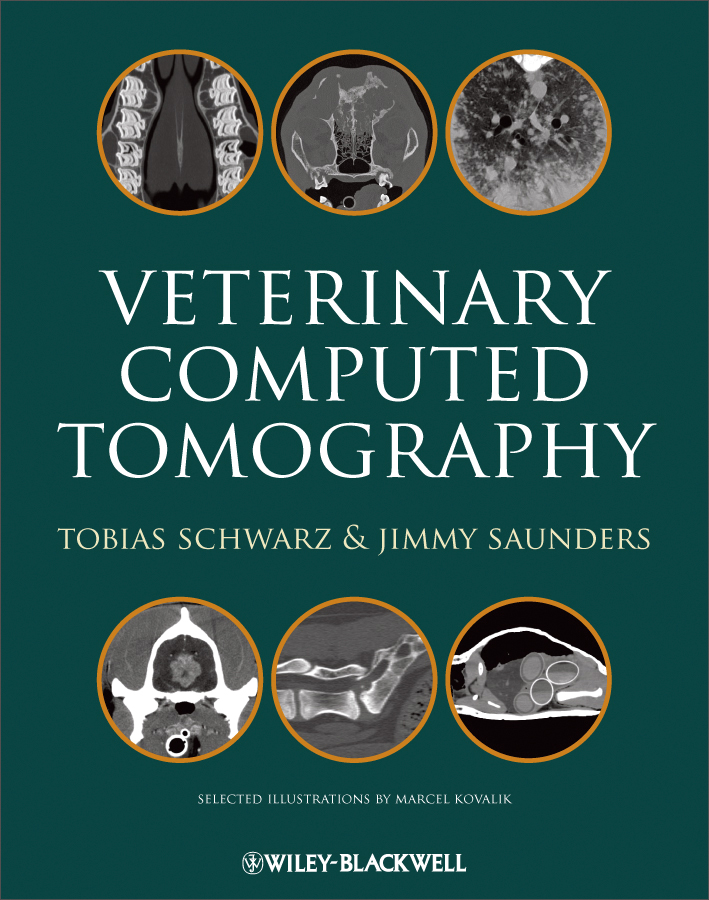 veterinary computed tomography