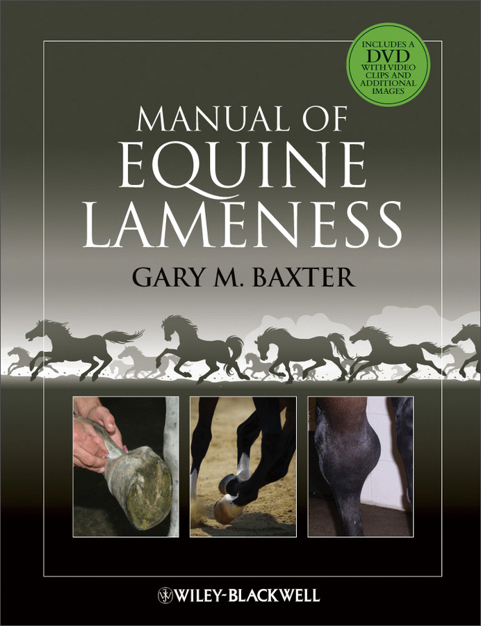 manual of equine lameness