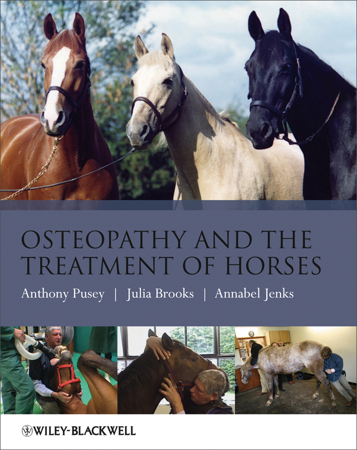 osteopathy and the treatment of horses