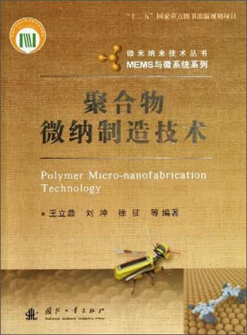 微米纳米技术丛书·MEMS与微系统系列：聚合物微纳制造技术