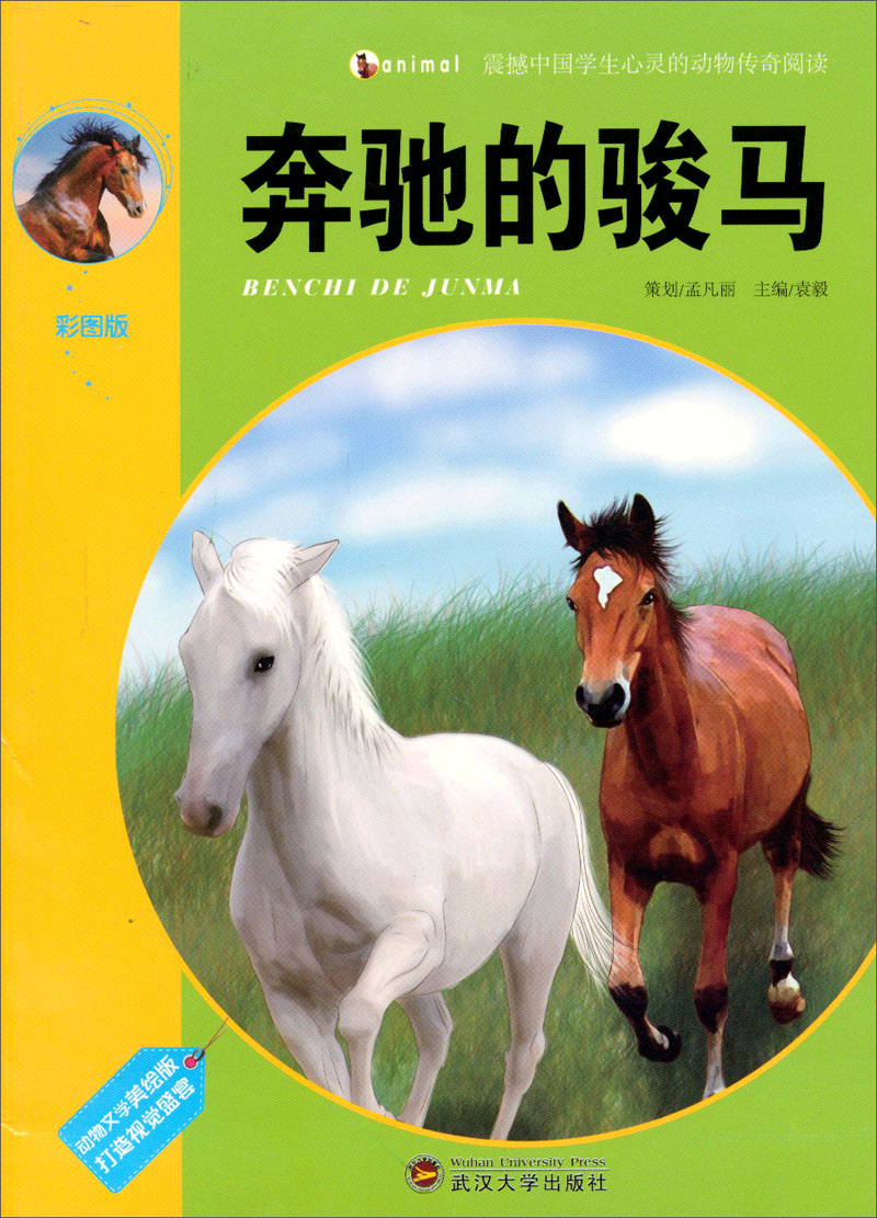 奔驰的骏马9787307097001