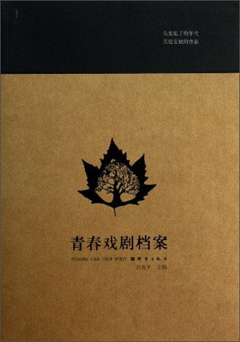 青春戏剧档案