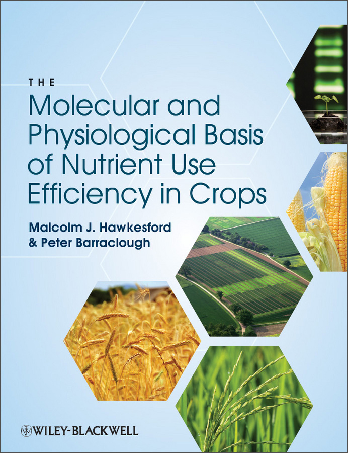 the molecular basis of nutrient use efficiency in crops