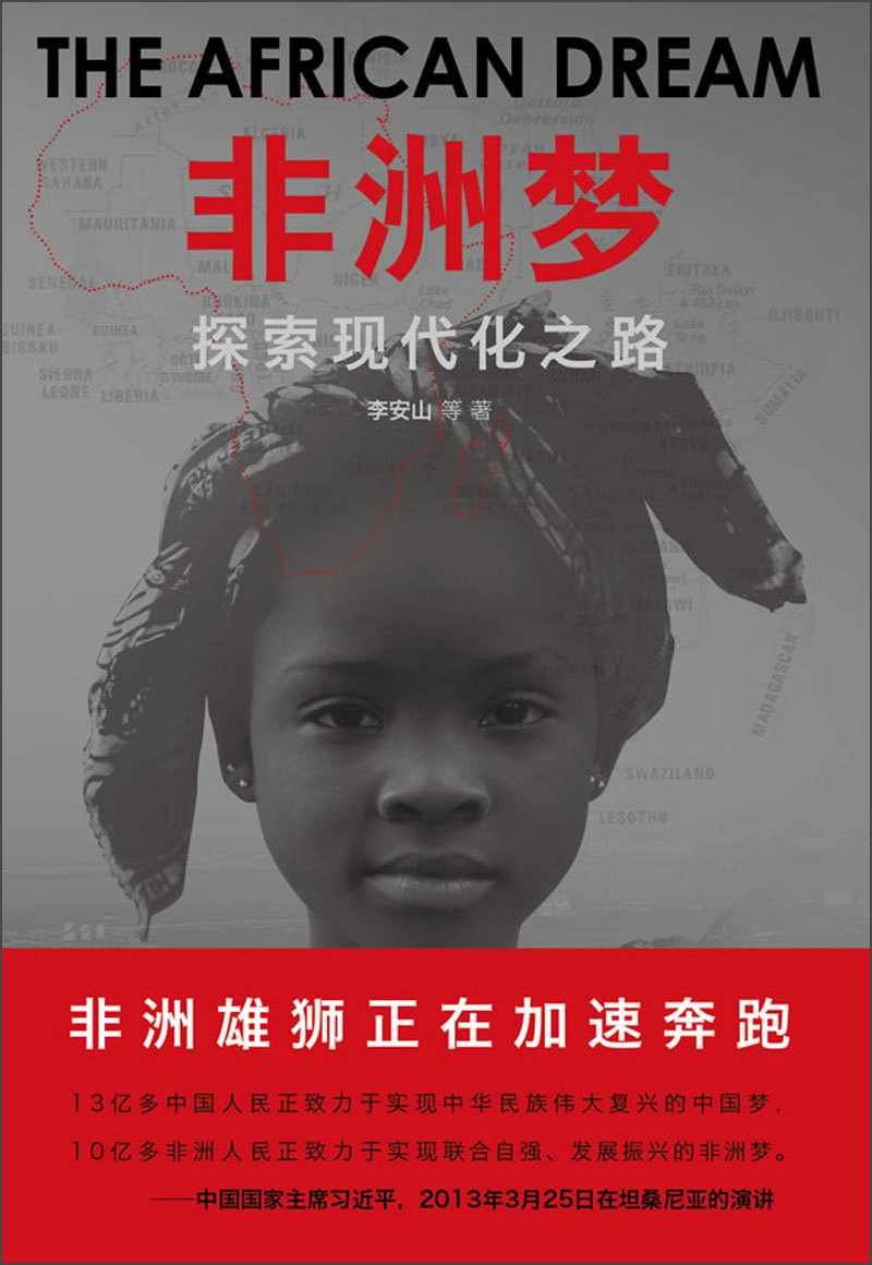 非洲梦：探索现代化之路