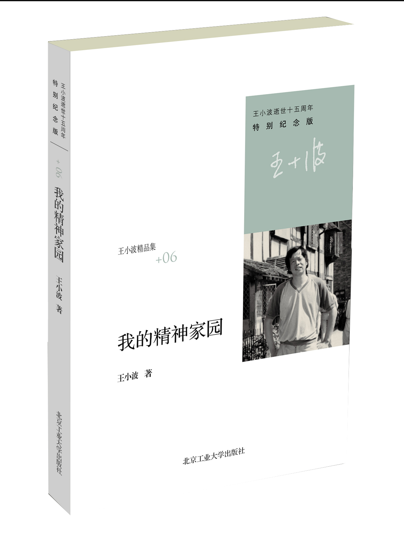 王小波精选集(特别纪念版)我的精神家园9787563932252
