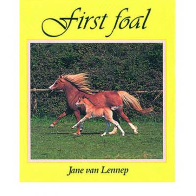 预订 First Foal