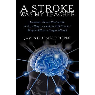 A Stroke Was My Teacher