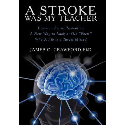 A Stroke Was My Teacher pdf格式下载