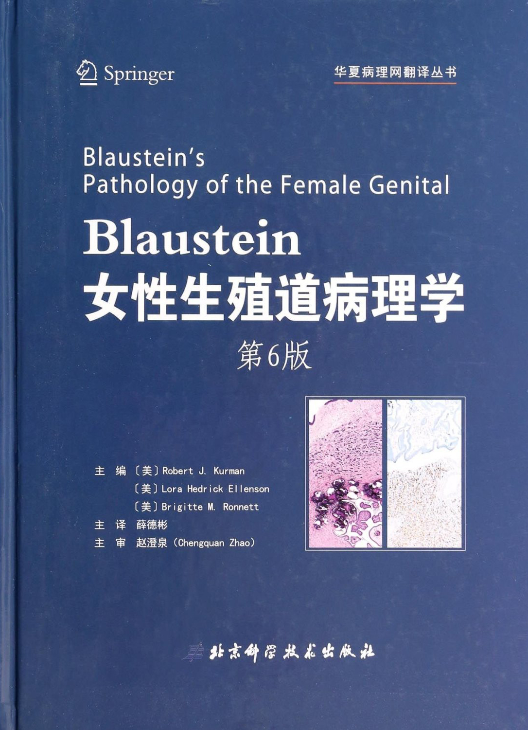 Blaustein女性生殖道病理学(第6
