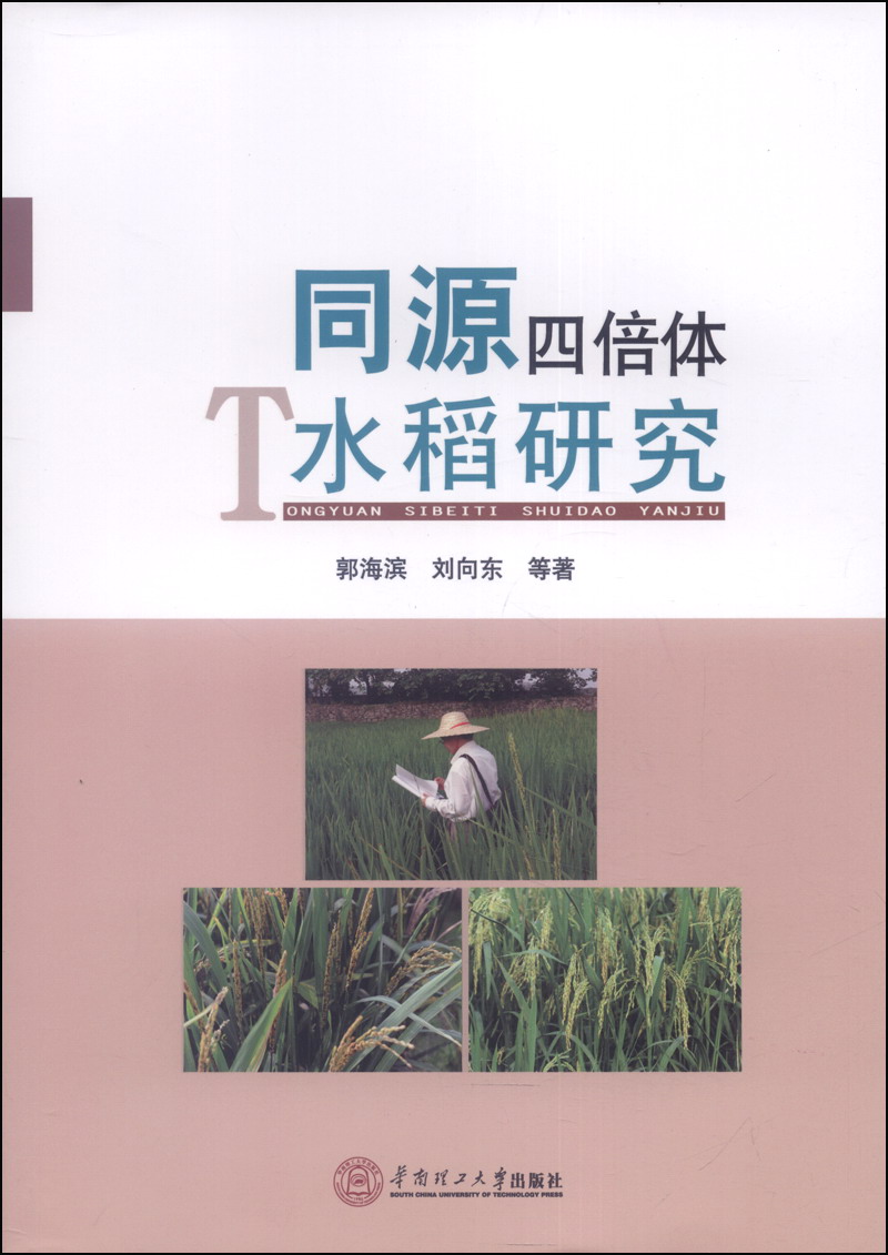 同源四倍体水稻研究