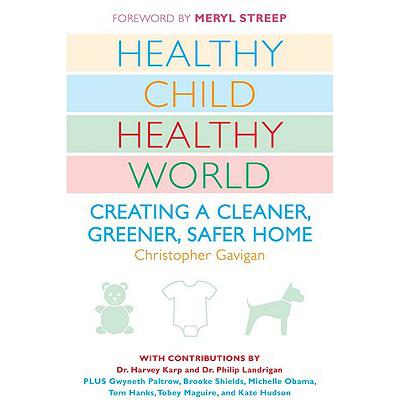 预订 Healthy Child Healthy World: Creating a Clea...