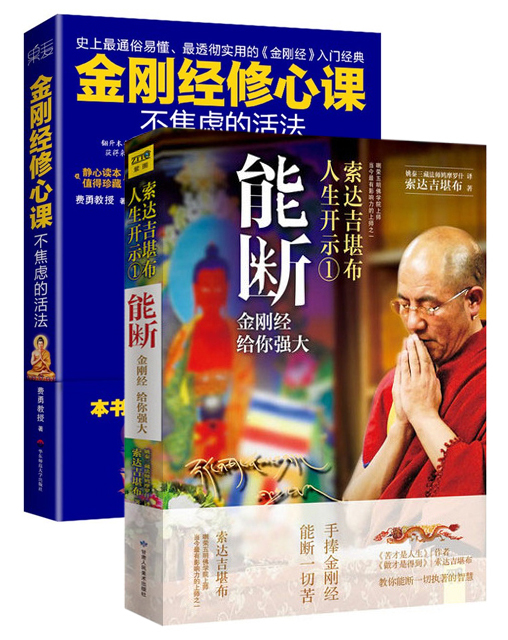 无尽正能量之金刚经（京东套装共2册）