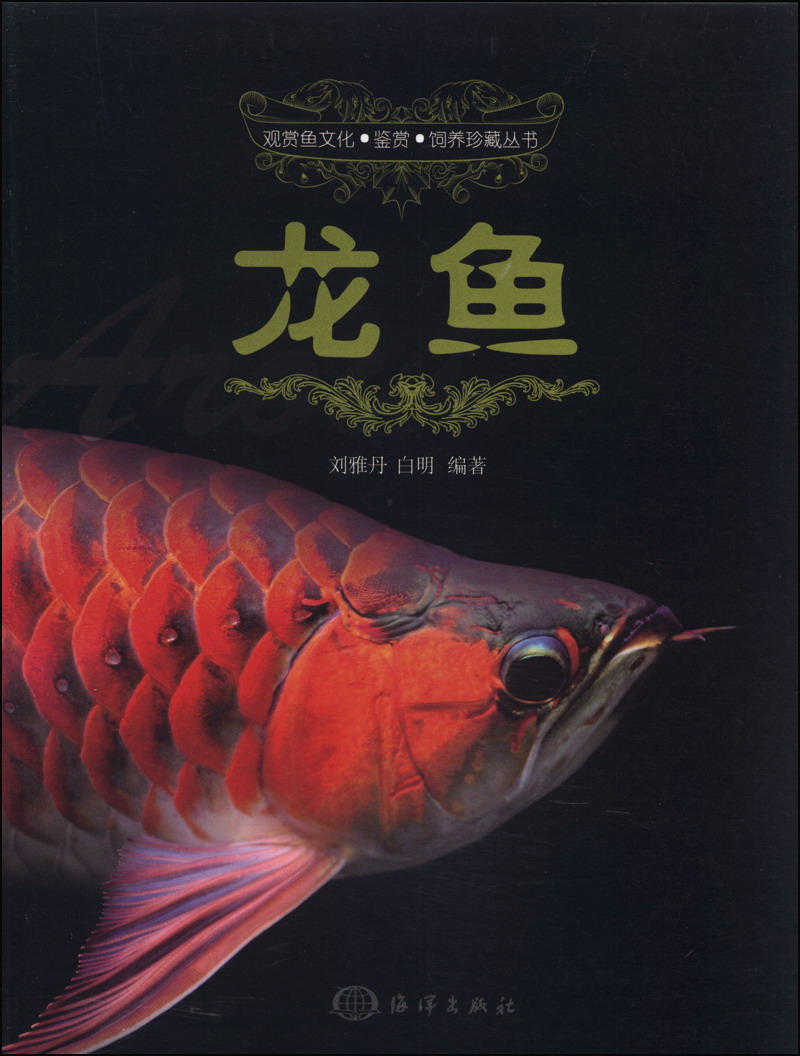 壁纸 动物 鱼 鱼类 800_1056 竖版 竖屏 手机
