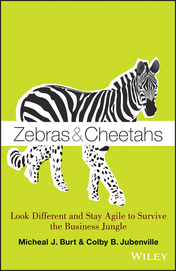 zebras and cheetahs: look different and stay agile to survive