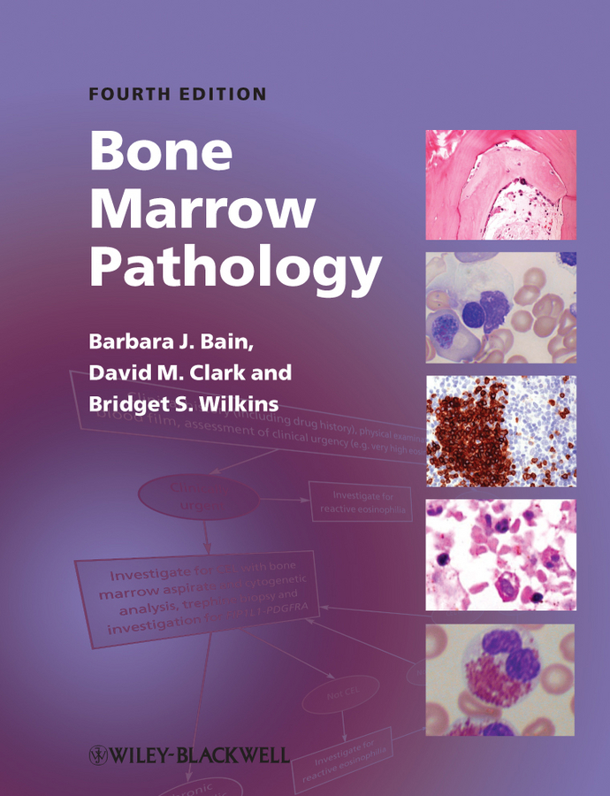 bone marrow pathology 4e