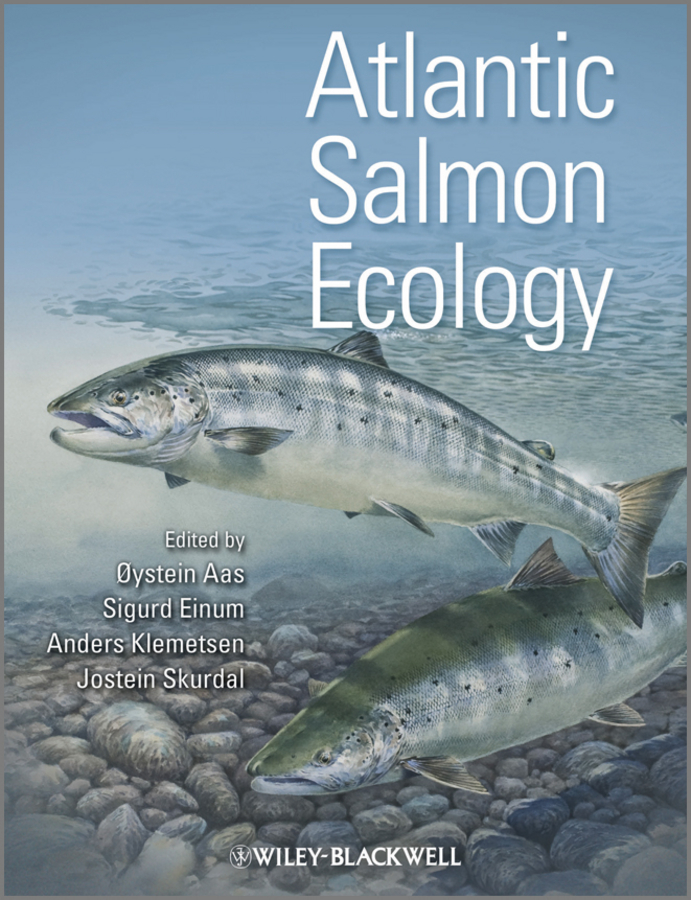 atlantic salmon ecology