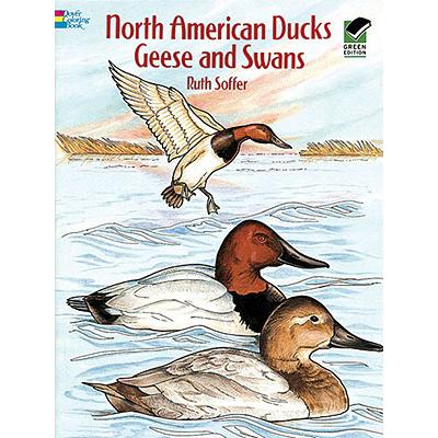 预订 north american ducks, geese and swans colori
