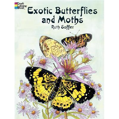 预订 Exotic Butterflies and Moths Coloring Book