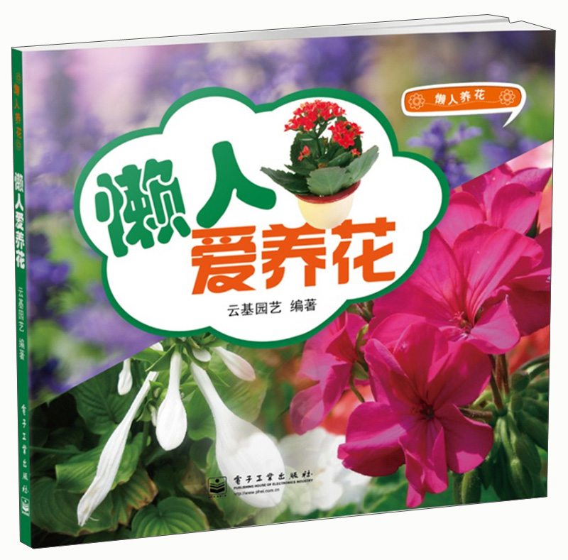 懒人爱养花