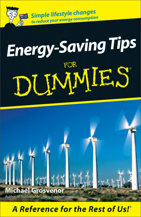 energy-saving tips for dummies
