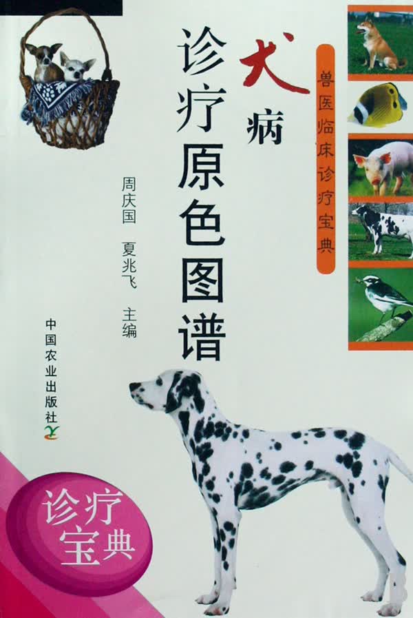 犬病诊疗原色图谱/兽医临床诊疗宝典