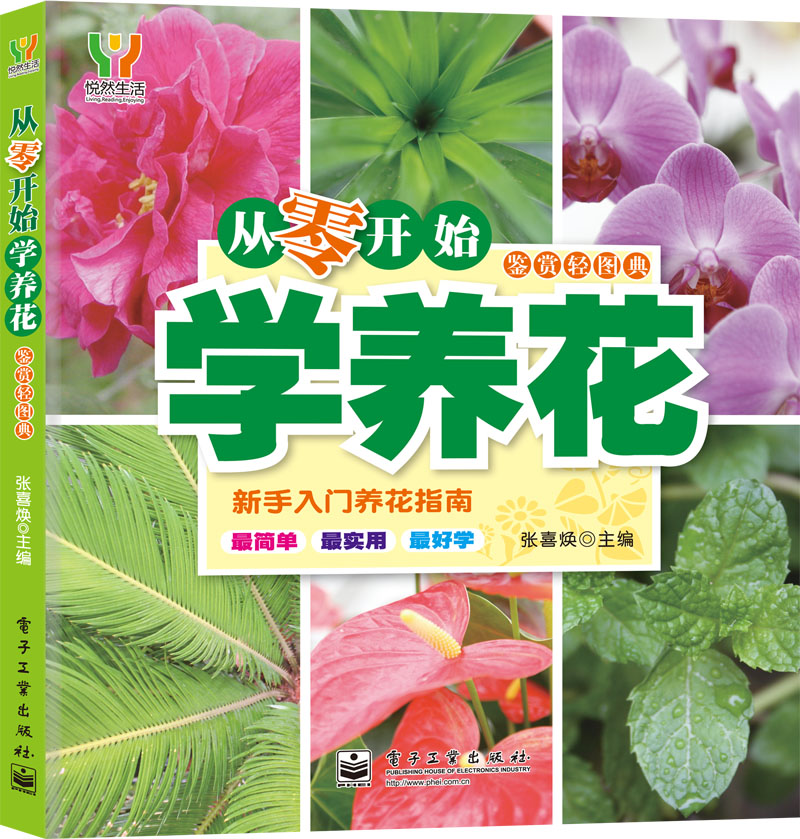 从零开始学养花