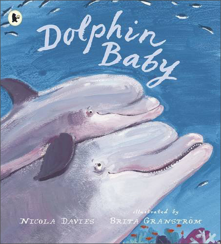 Dolphin Baby (Nature Storybooks)