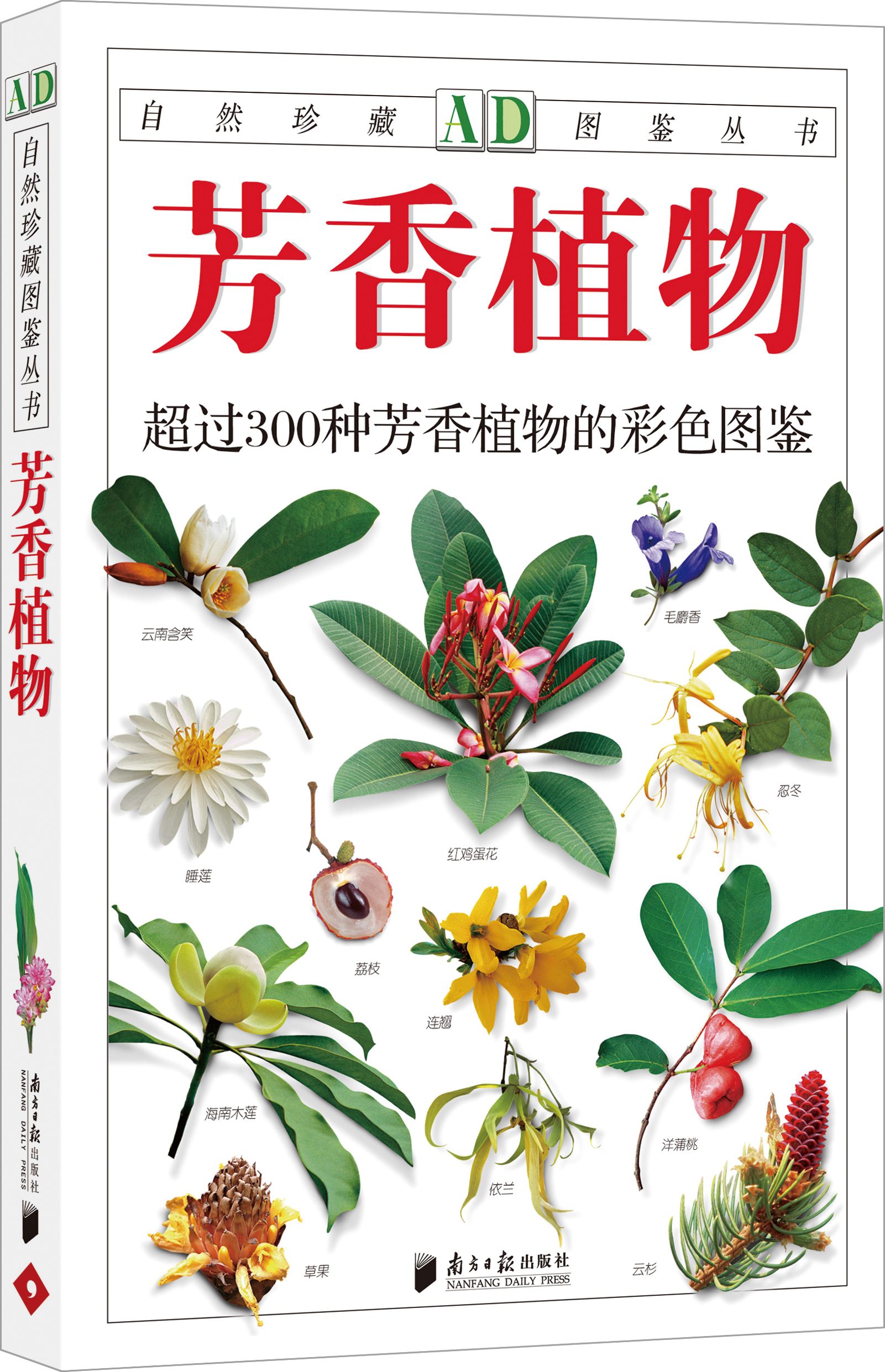 自然珍藏图鉴丛书：芳香植物截图