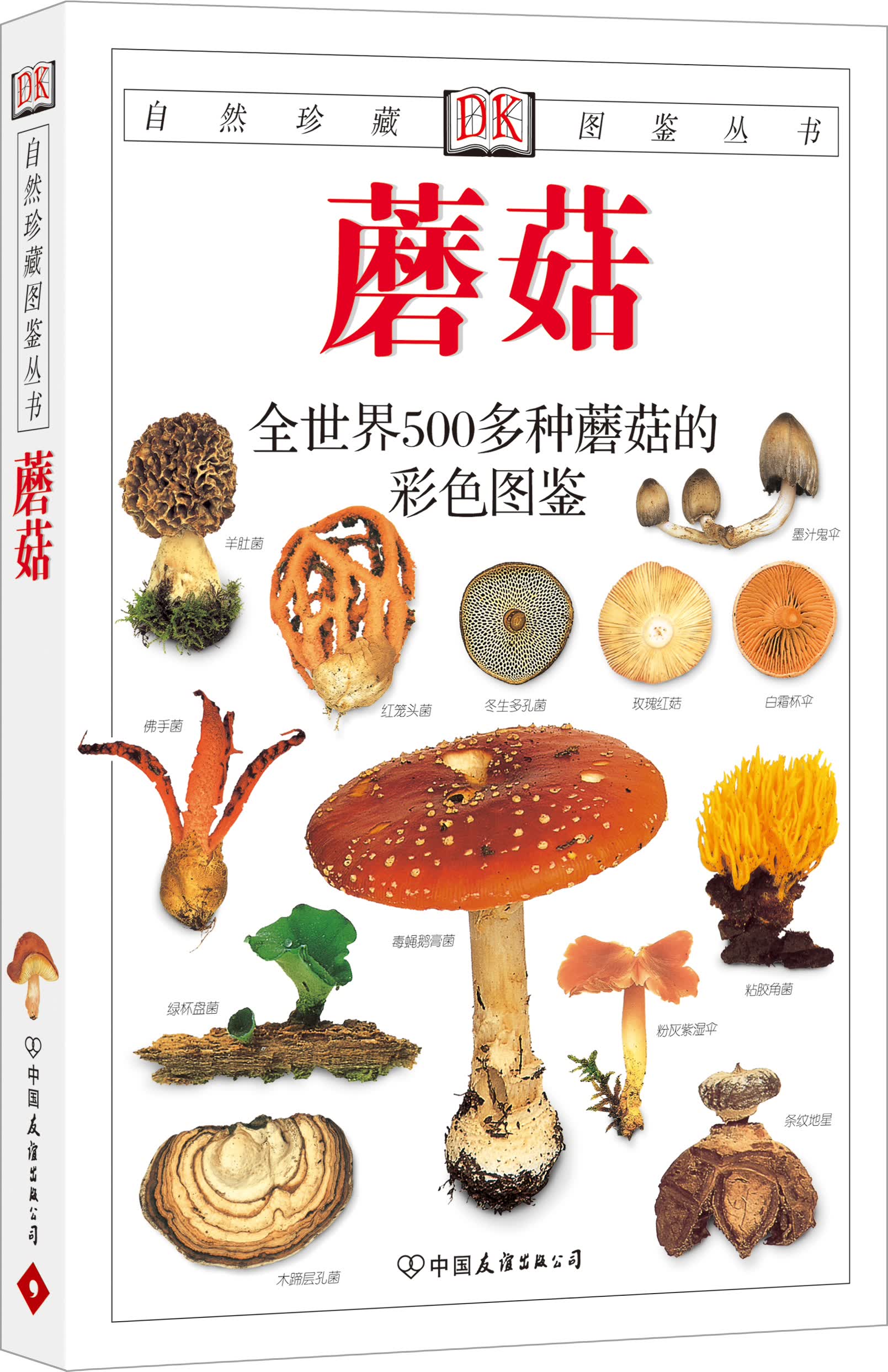 自然珍藏图鉴丛书：蘑菇