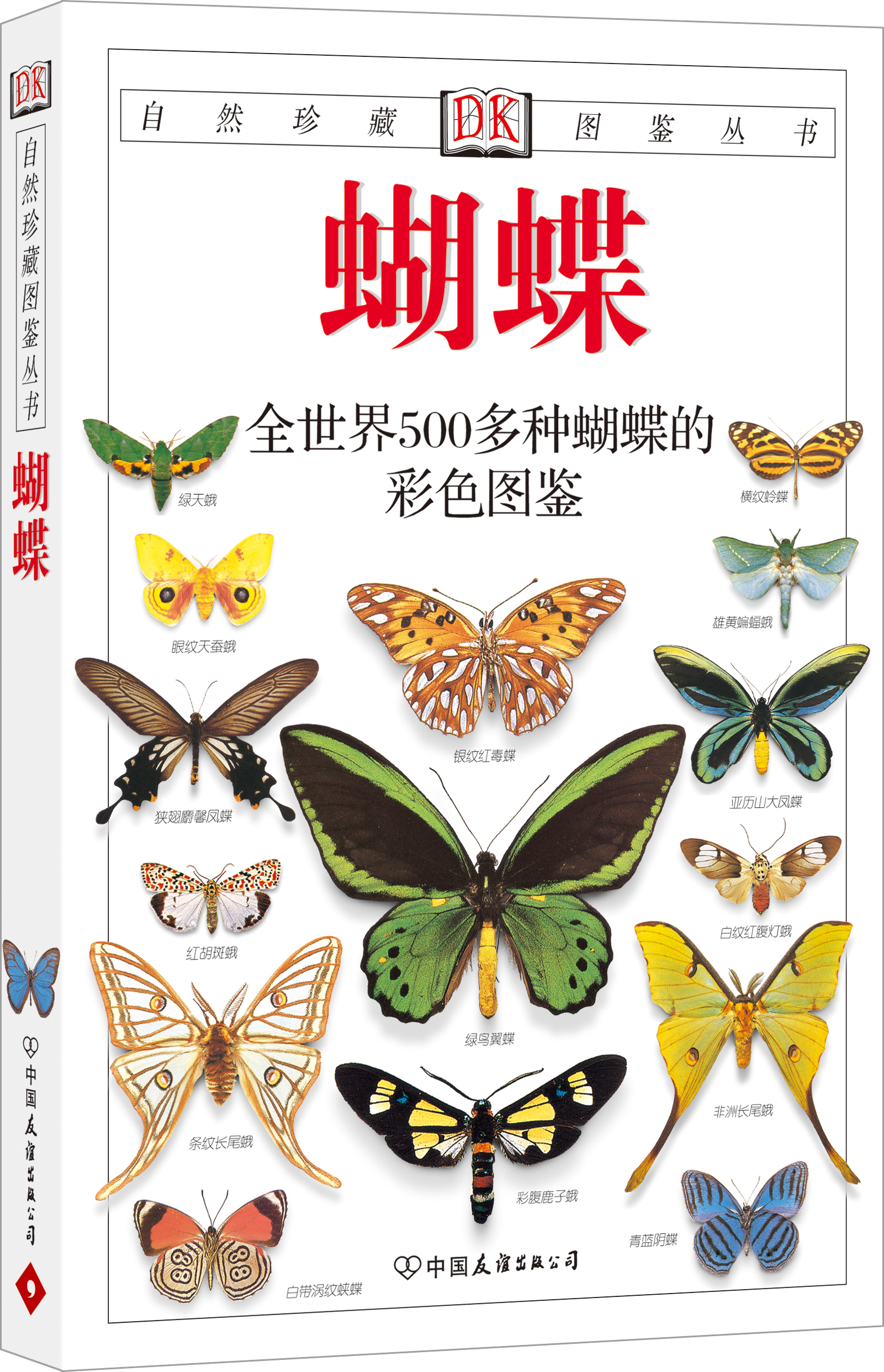 自然珍藏图鉴丛书：蝴蝶