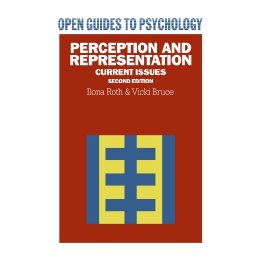 Perception and Representation