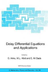 Delay Differential Equations and