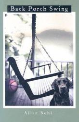 Back Porch Swing