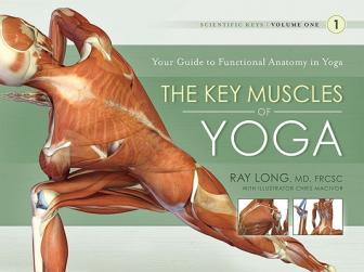 The Key Muscles of Yoga: The Scientific