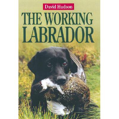 预订 The Working Labrador