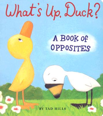 英文原版 What's Up, Duck?: A Book of Opposites